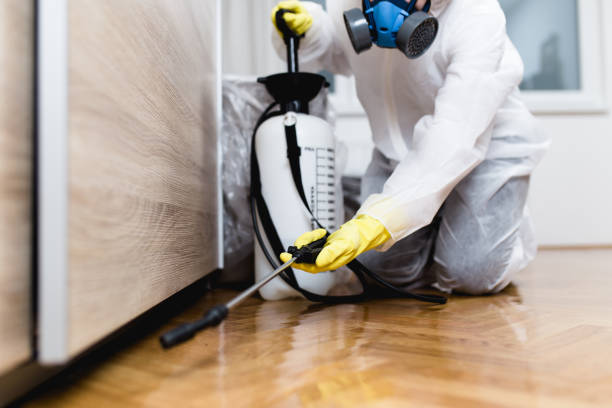 Best Commercial Pest Control Services  in Kasson, MN