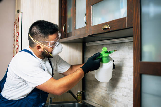 Best Best Pest Control Companies  in Kasson, MN