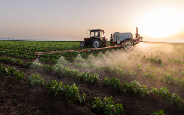 Best Pest Control Near Me  in Kasson, MN