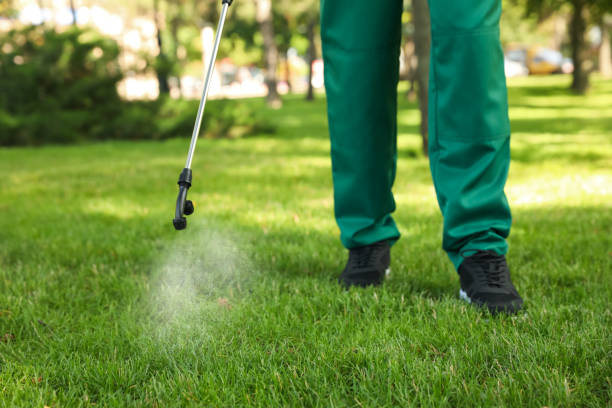 Best Wildlife Control Services  in Kasson, MN