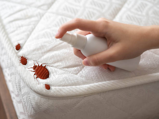 Kasson, MN Pest Control Company