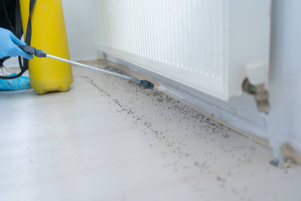 Best Pest Control for Restaurants  in Kasson, MN