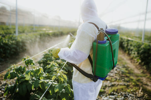 Pest Control for Restaurants in Kasson, MN